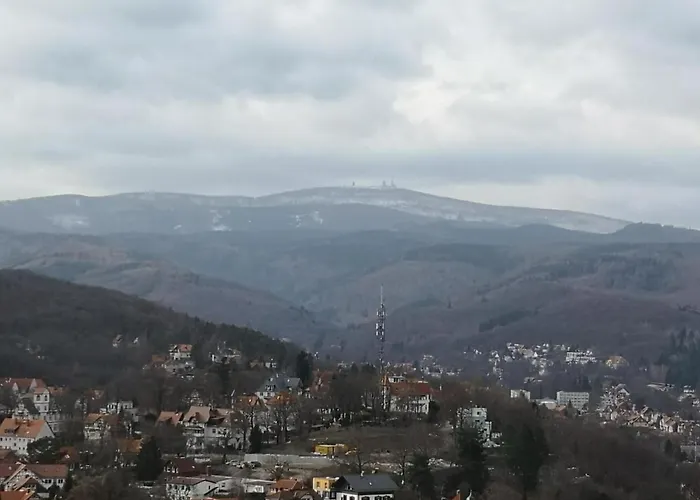 Hochsitz By Interhome Кведлинбург